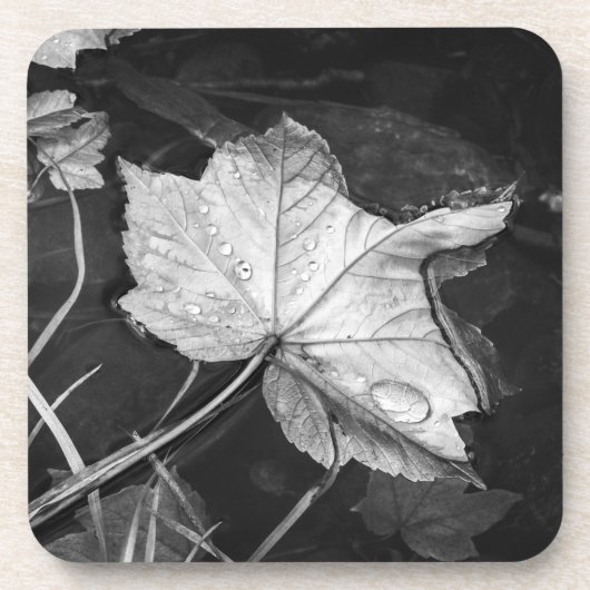 Dalle bladeren in een Pond Black en White Bier Onderzetter (Voorkant)