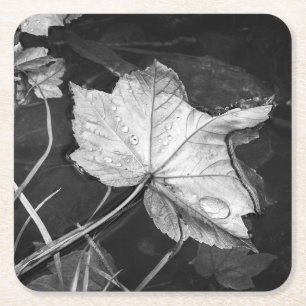 Dalle bladeren in een Pond Black en White Kartonnen Onderzetters
