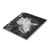 Dalle bladeren in een Pond Black en White Tegeltje (Zijkant)