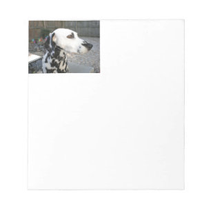 Dalmatiaan - Cindy's Reina Notitieblok