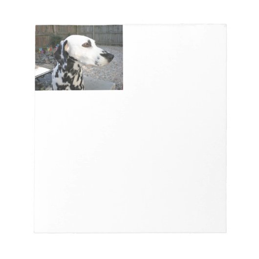 Dalmatiaan - Cindy's Reina Notitieblok (Voorkant)