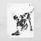 Dalmatiaan, Dalmatische hond, waterverf Dalmatiaan Briefkaart (Voorkant / Achterkant)