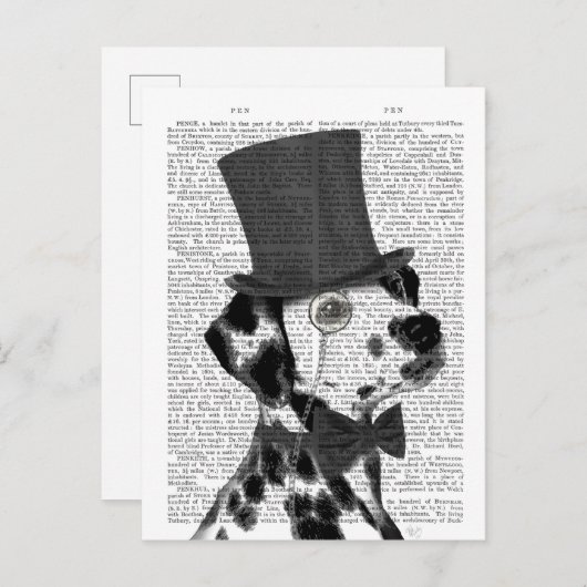 Dalmatiaan, Formele hond en Pet Briefkaart (Voorkant / Achterkant)