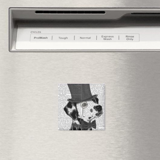 Dalmatiaan, Formele hond en Pet Magneet (Insitu (Vaatwasser))