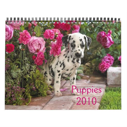 dalmatiaan-Hoesje, Puppy2010 Kalender (Hoes)