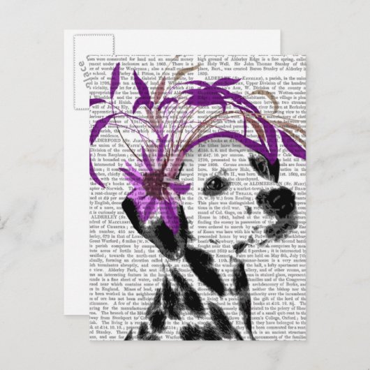 Dalmatiaan met Paarse fascinator Briefkaart (Voorkant / Achterkant)