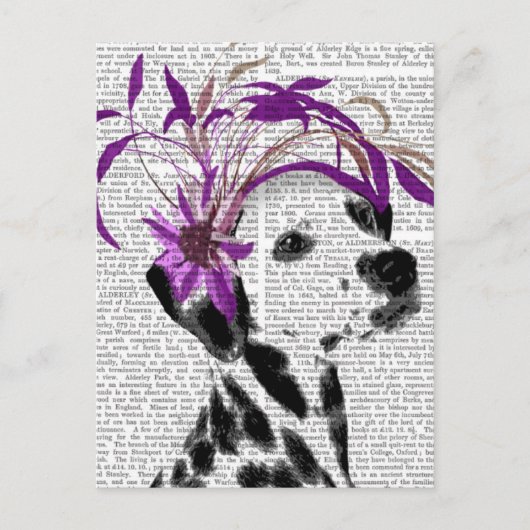 Dalmatiaan met Paarse fascinator Briefkaart (Voorkant)