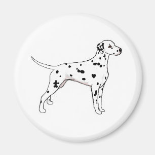 Dalmatiaan met zwarte poot magneet