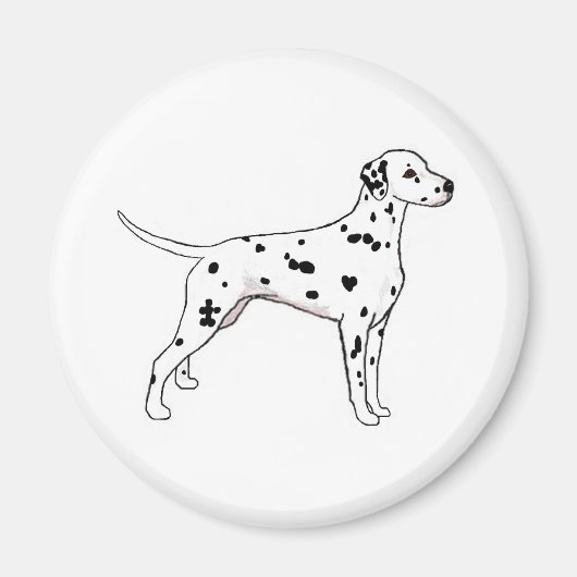 Dalmatiaan met zwarte poot magneet (Voorkant)