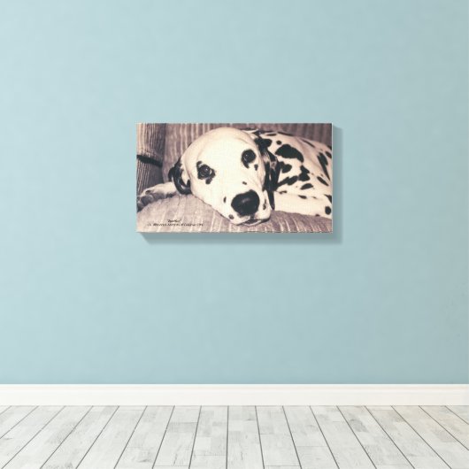 Dalmatiaan op een bank — Sparkler Canvas Afdruk (Insitu (Houten vloer))