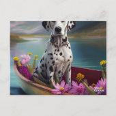 Dalmatiaan op een peddel: een Schilderachtig avont Briefkaart (Achterkant)