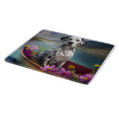 Dalmatiaan op een peddel: een Schilderachtig avont Snijplank (Hoek)