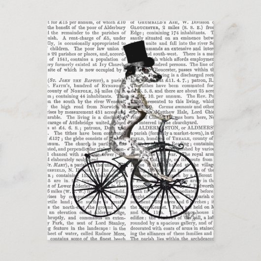 Dalmatiaan op fiets 2 briefkaart (Voorkant)