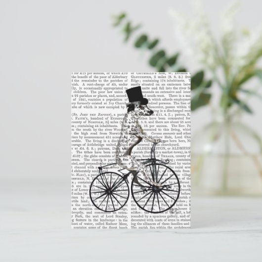 Dalmatiaan op fiets 2 briefkaart (Staand voorkant)