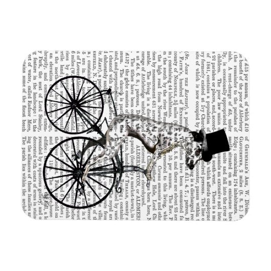 Dalmatiaan op fiets 2 magneet (Horizontaal)