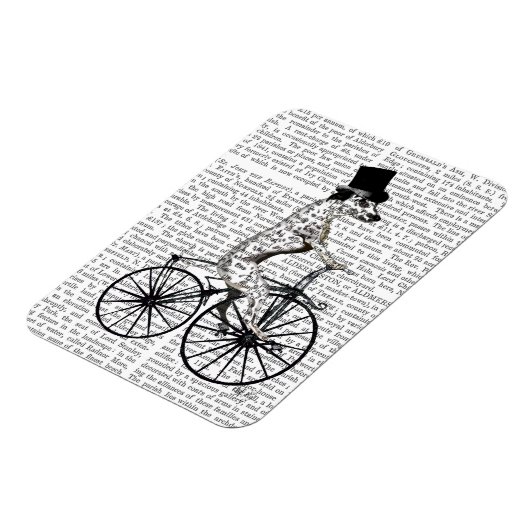 Dalmatiaan op fiets 2 magneet (Linkerzijde)
