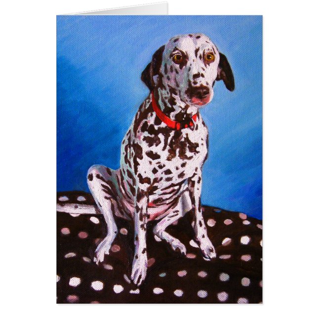 Dalmatiaan op spottzitting 2011 (Voorkant)