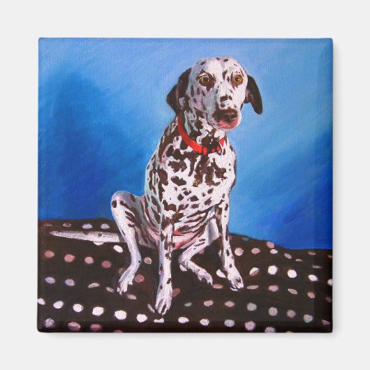Dalmatiaan op spottzitting 2011 magneet (Voorkant)