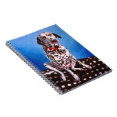 Dalmatiaan op spottzitting 2011 notitieboek (Rechterzijde)