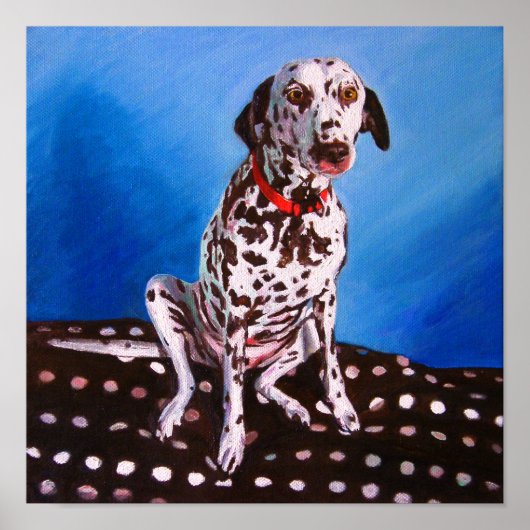 Dalmatiaan op spottzitting 2011 poster (Voorkant)