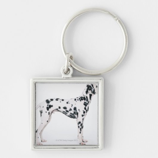 Dalmatiaans 3 sleutelhanger (Voorkant)