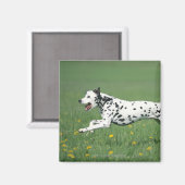Dalmatiaans aan het rennen magneet (Voorkant / Achterkant)