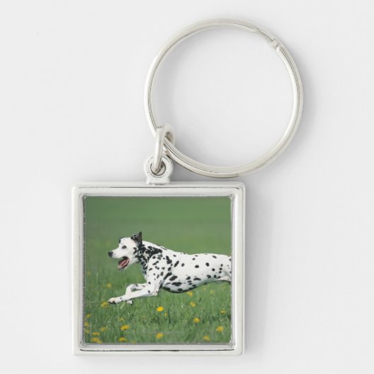 Dalmatiaans aan het rennen sleutelhanger (Voorkant)