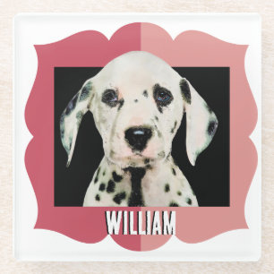 Dalmatiaans aangepast lijst patroonfoto glazen onderzetter