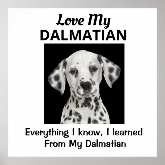 Dalmatiaans aangepast Poster (Voorkant)