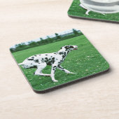 Dalmatiaans Bier Onderzetter (Linkerzijde)