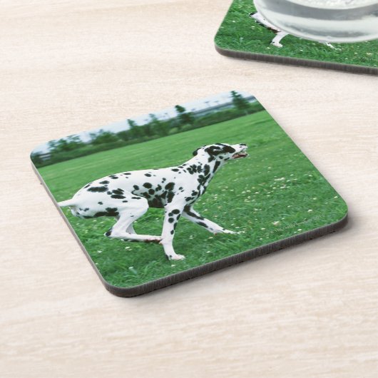 Dalmatiaans Bier Onderzetter (Linkerzijde)