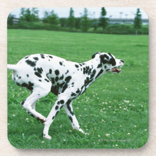 Dalmatiaans Bier Onderzetter