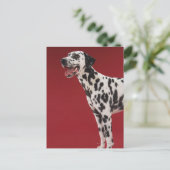 Dalmatiaans Briefkaart (Staand voorkant)