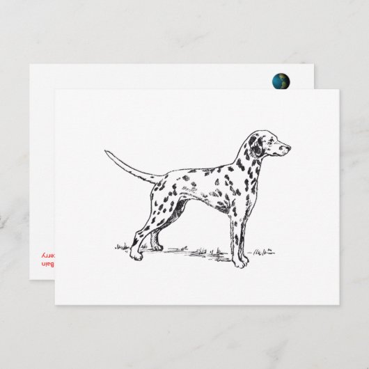 Dalmatiaans Briefkaart (Voorkant / Achterkant)