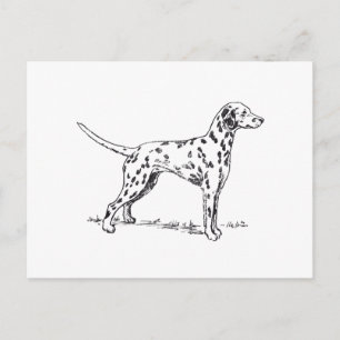 Dalmatiaans Briefkaart
