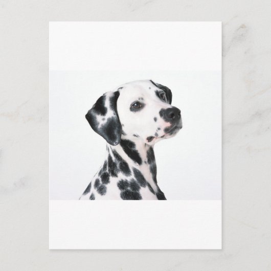 Dalmatiaans Briefkaart (Voorkant)