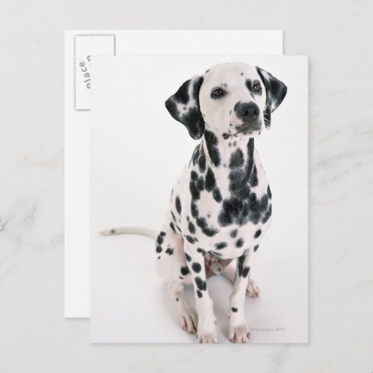 Dalmatiaans Briefkaart (Voorkant / Achterkant)