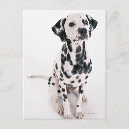Dalmatiaans Briefkaart (Voorkant)