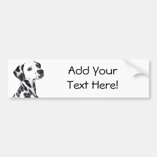 Dalmatiaans Bumpersticker (Voorkant)