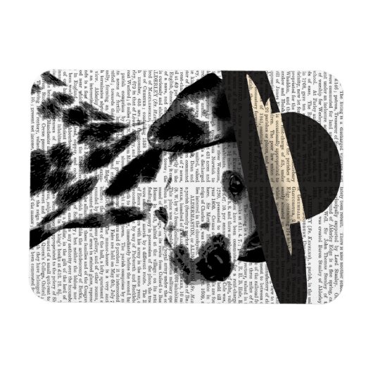 Dalmatiaans en Brimmed Black Pet Magneet (Horizontaal)