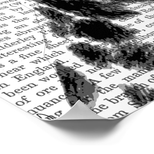 Dalmatiaans en Brimmed Black Pet Poster (Hoek)