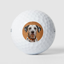 Dalmatiaans Golfballen