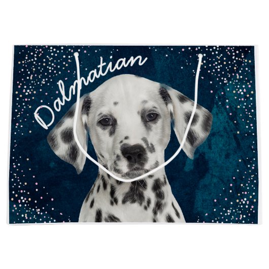 Dalmatiaans Groot Cadeauzakje (Voorkant)