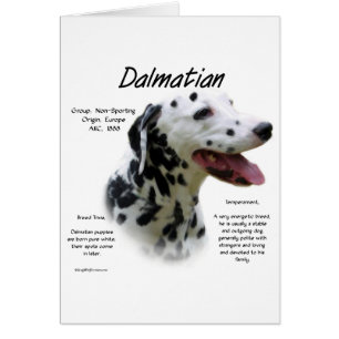 Dalmatiaans historisch ontwerp