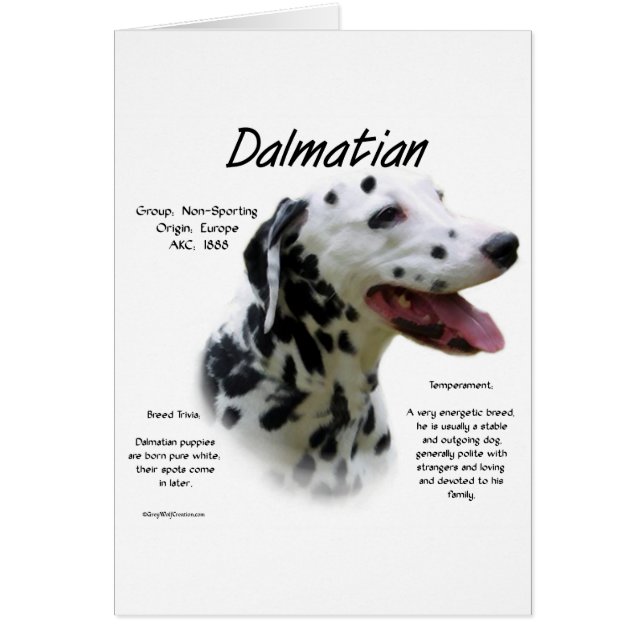 Dalmatiaans historisch ontwerp (Voorkant)