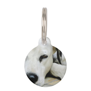 Dalmatiaans Huisdierpenning