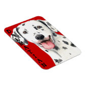 Dalmatiaans kleurenblok magneet (Rechterzijde)