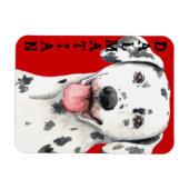 Dalmatiaans kleurenblok magneet (Horizontaal)
