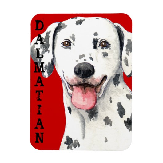 Dalmatiaans kleurenblok magneet (Verticaal)