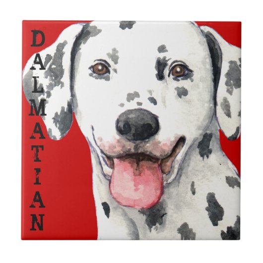 Dalmatiaans kleurenblok tegeltje (Voorkant)